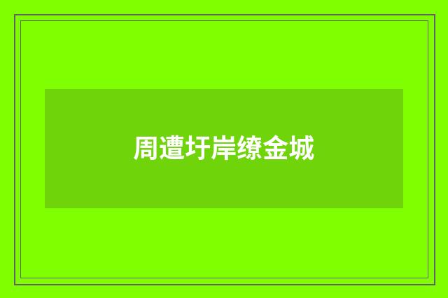 周遭圩岸缭金城