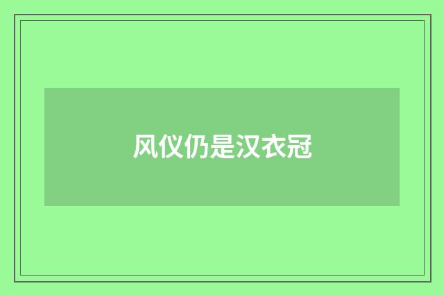 风仪仍是汉衣冠