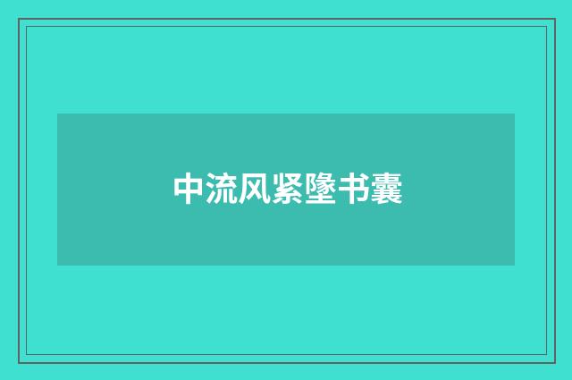 中流风紧墬书囊
