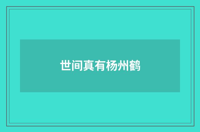 世间真有杨州鹤