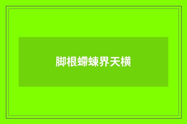 脚根螮蝀界天横
