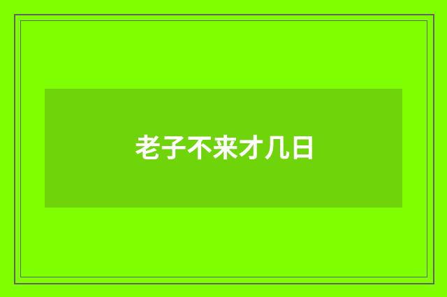 老子不来才几日