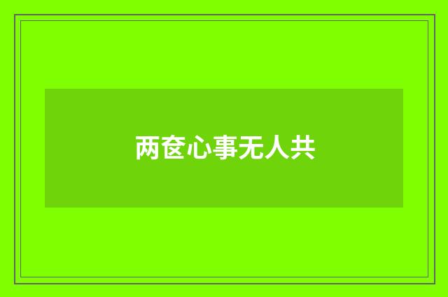 两奁心事无人共