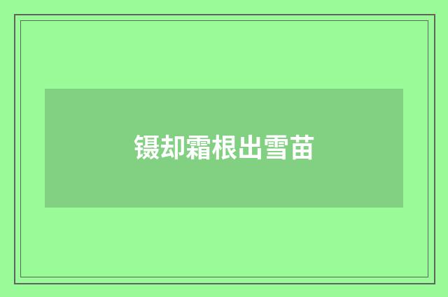 镊却霜根出雪苗