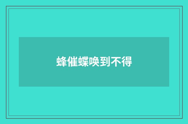 蜂催蝶唤到不得
