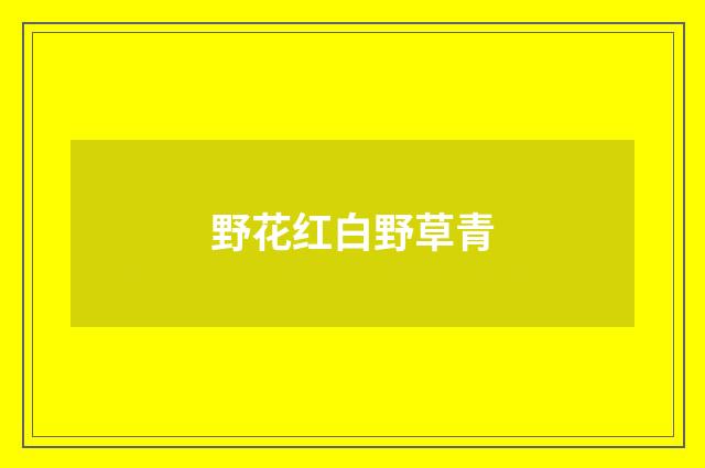 野花红白野草青