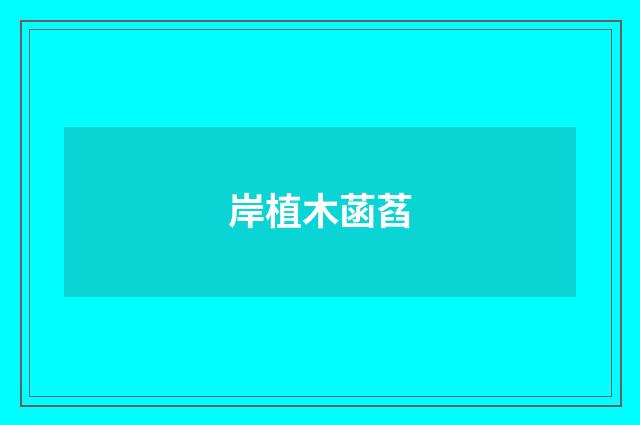 岸植木菡萏