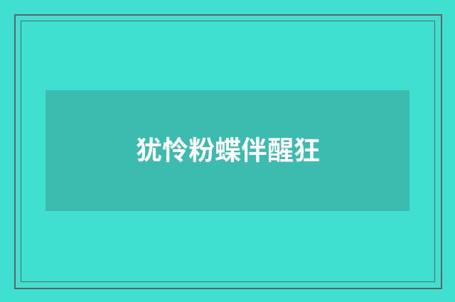 犹怜粉蝶伴醒狂