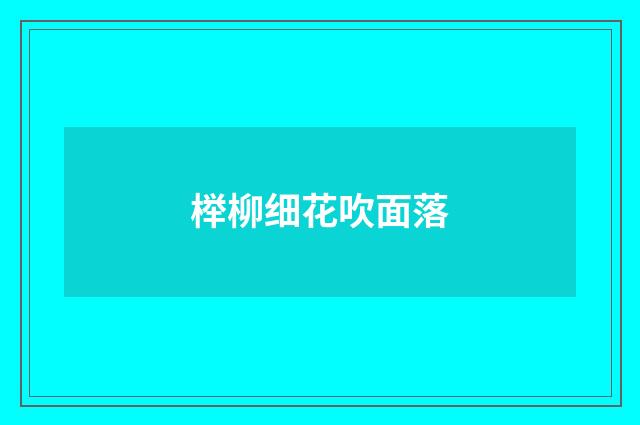 榉柳细花吹面落