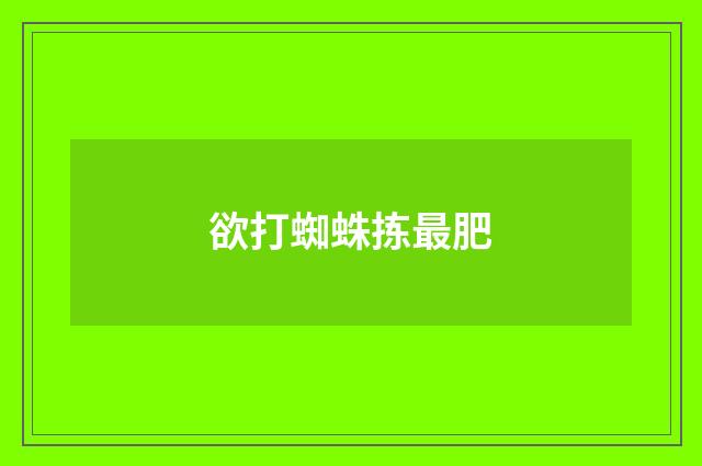 欲打蜘蛛拣最肥