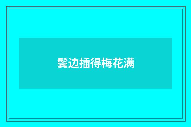 鬓边插得梅花满