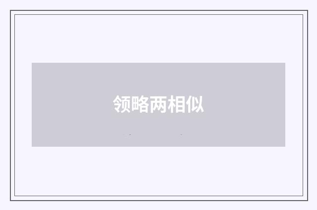 领略两相似