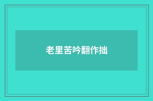 老里苦吟翻作拙