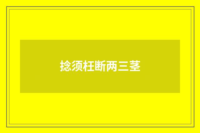 捻须枉断两三茎