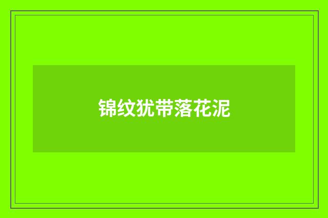 锦纹犹带落花泥