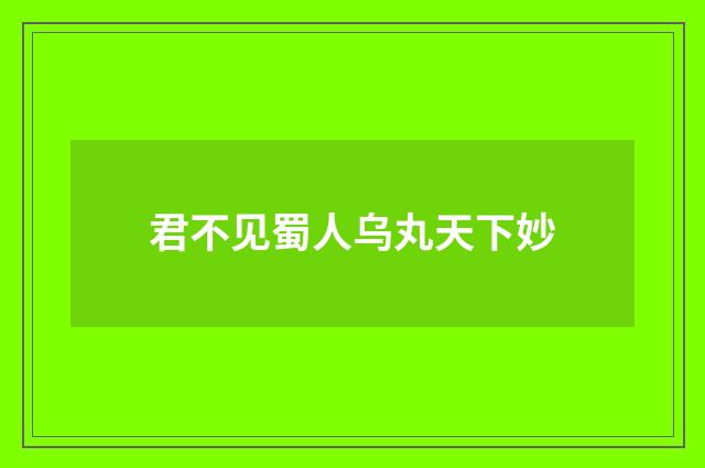 君不见蜀人乌丸天下妙