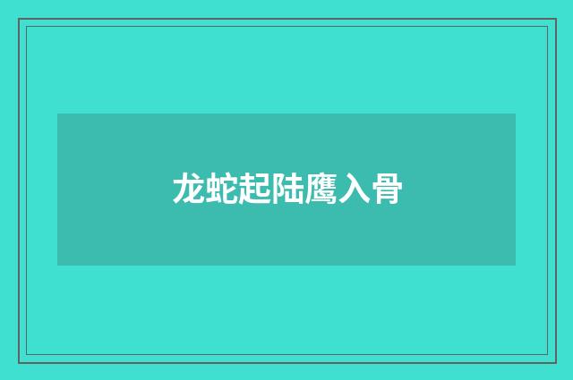 龙蛇起陆鹰入骨
