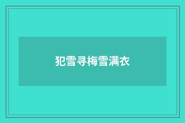 犯雪寻梅雪满衣