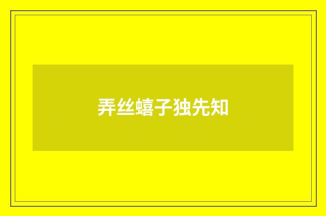 弄丝蟢子独先知