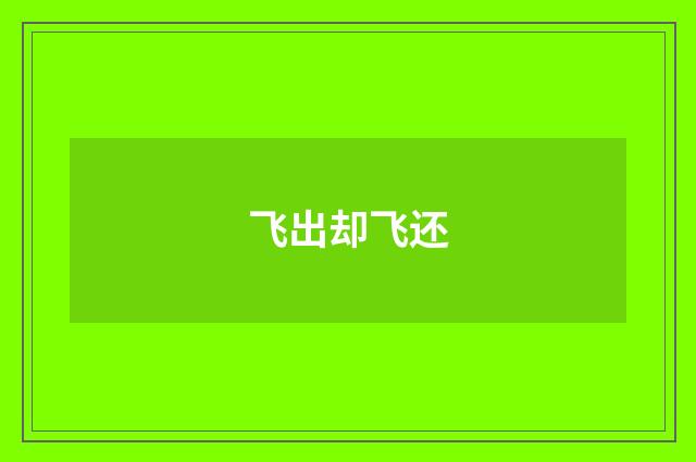 飞出却飞还
