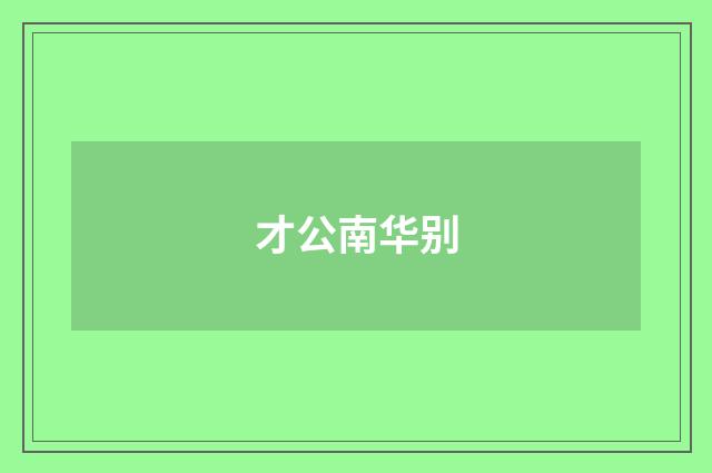 才公南华别