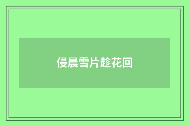 侵晨雪片趁花回