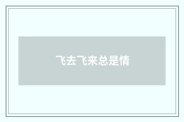 飞去飞来总是情
