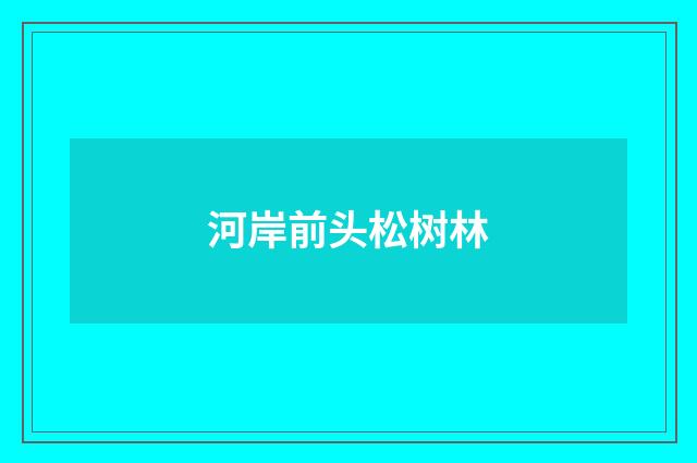 河岸前头松树林