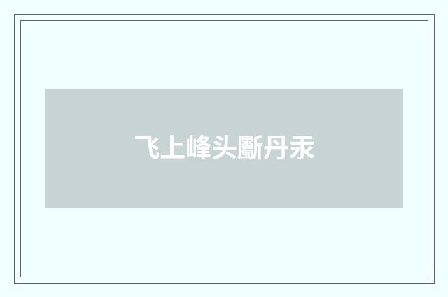 飞上峰头斸丹汞