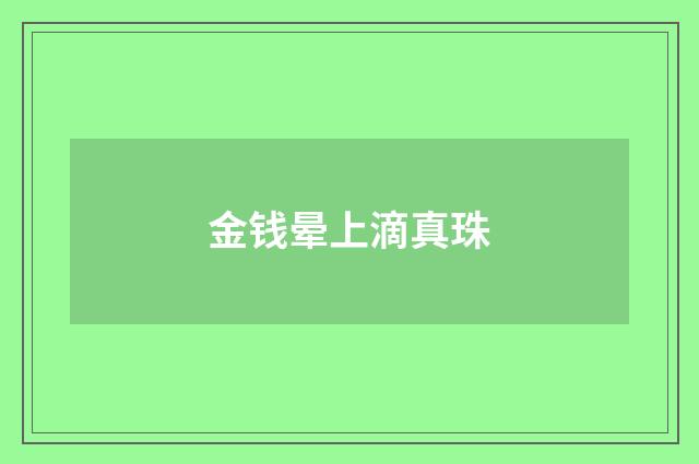金钱晕上滴真珠