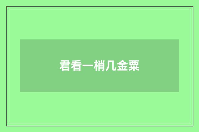 君看一梢几金粟