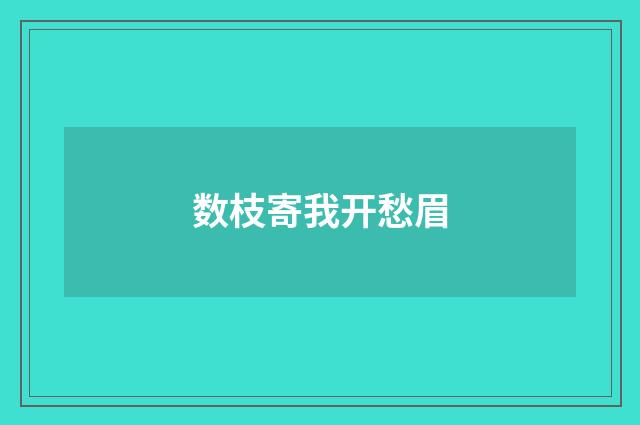 数枝寄我开愁眉