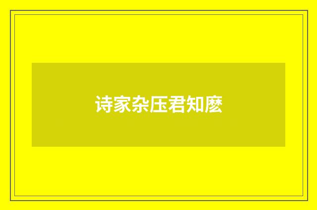 诗家杂压君知麽