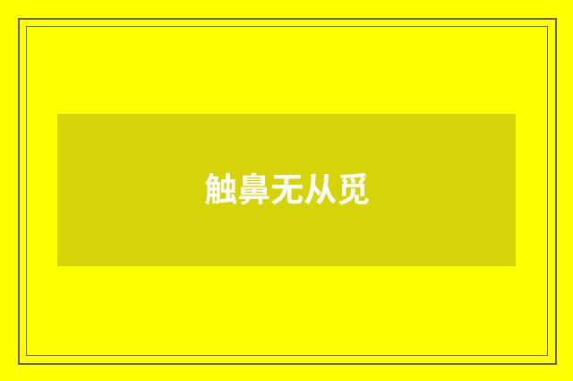触鼻无从觅