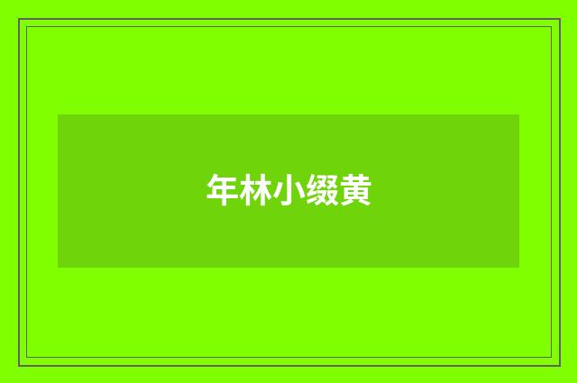 年林小缀黄