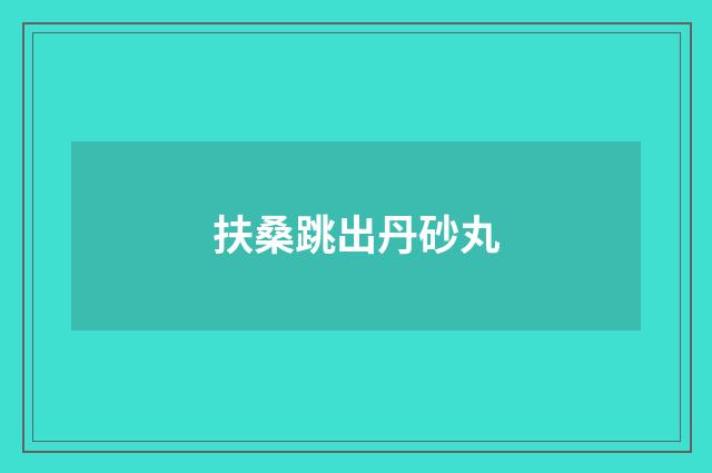 扶桑跳出丹砂丸