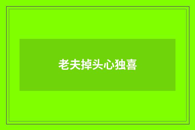 老夫掉头心独喜