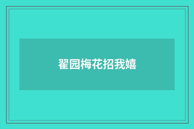 翟园梅花招我嬉