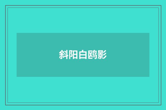 斜阳白鸥影