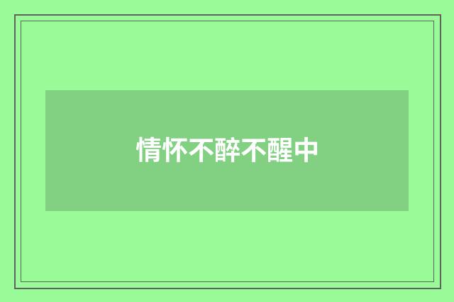 情怀不醉不醒中