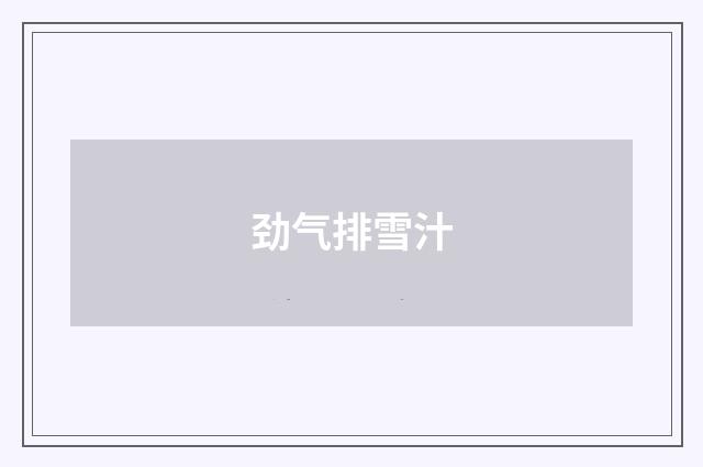 劲气排雪汁