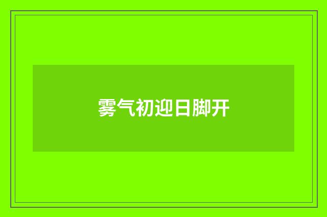 雾气初迎日脚开