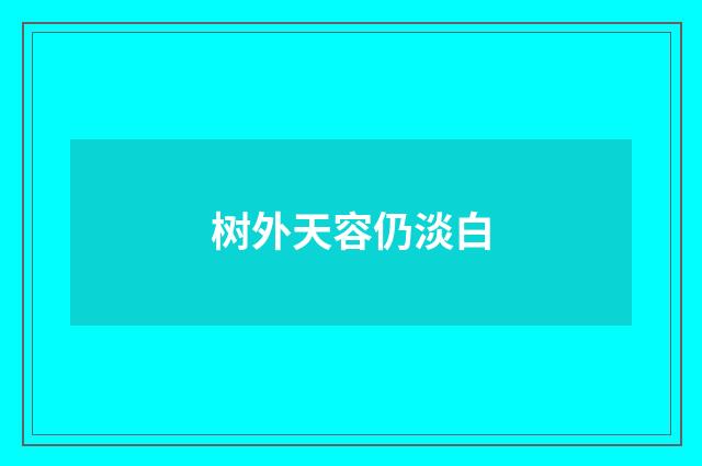 树外天容仍淡白