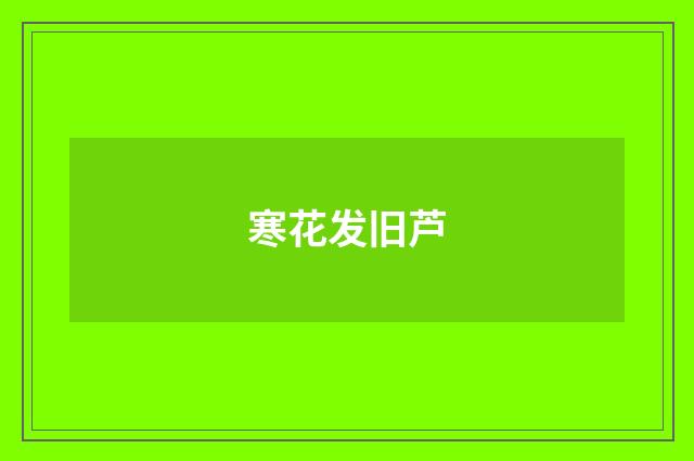 寒花发旧芦
