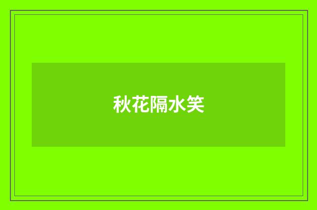 秋花隔水笑