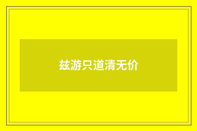 兹游只道清无价