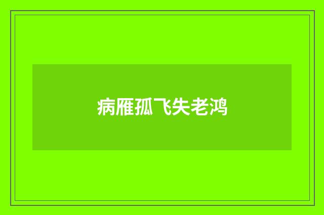 病雁孤飞失老鸿
