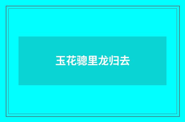 玉花骢里龙归去