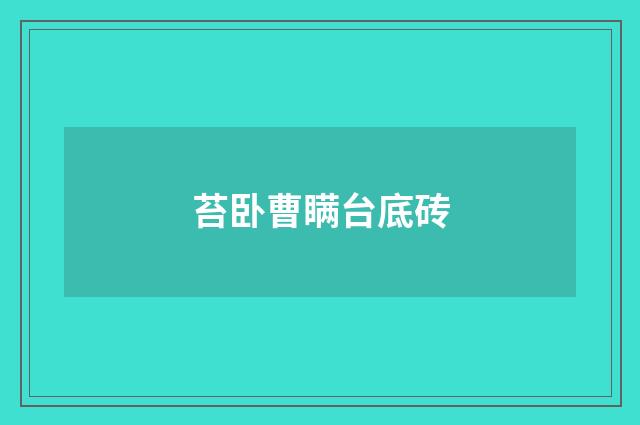 苔卧曹瞒台底砖