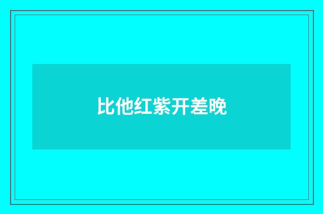 比他红紫开差晚